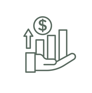 money icon