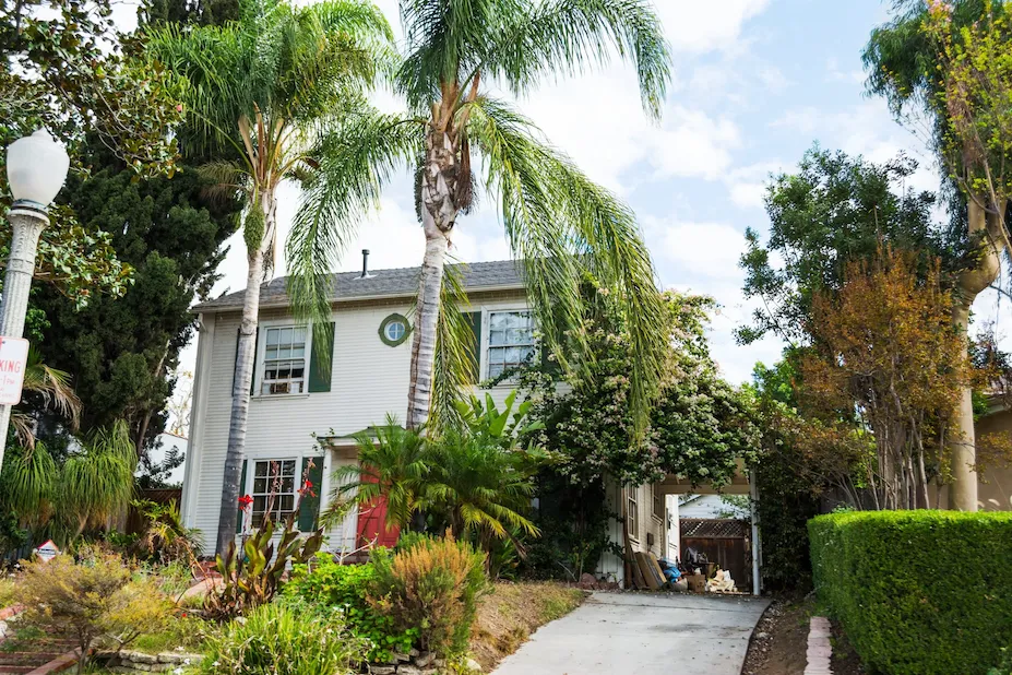 modest home in southern california with palm trees and forestry